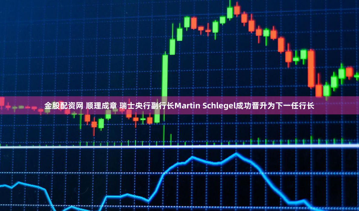 金股配资网 顺理成章 瑞士央行副行长Martin Schlegel成功晋升为下一任行长
