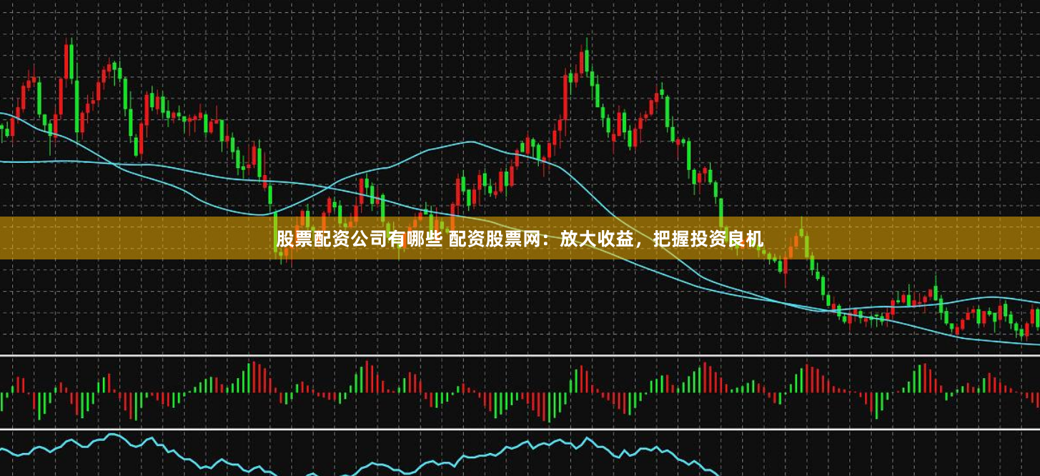 股票配资公司有哪些 配资股票网：放大收益，把握投资良机