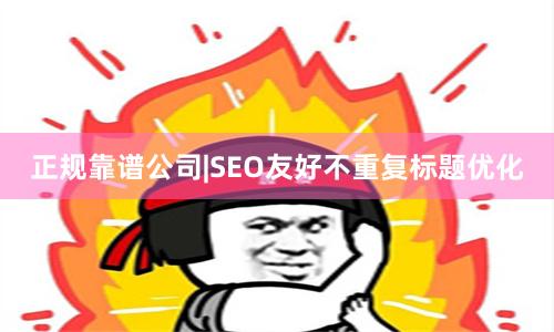 正规靠谱公司|SEO友好不重复标题优化